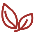 1731490706.png